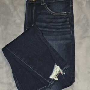 American Eagle Outfitters Dark Blue Ankle Jeans